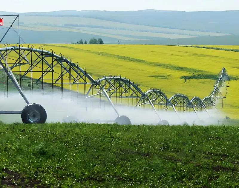 Center-Pivot & Loader-Remove ລະບົບຊົນລະປະທານ
